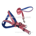 Nylon Belt Soft Padded Pet Dog Harnesses and Leashes in set